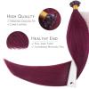 WENNALIFE I Tip Hair Extensions Human Hair, 50g 50s 18 Inch Dark Brown Remy Itip Human Hair Extensions Invisible Itips Straight I Tips Fusion Extensions Real Human Hair(U-#530 Light Burgundy)