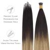 WENNALIFE I Tip Hair Extensions Human Hair, 50g 50s 18 Inch Dark Brown Remy Itip Human Hair Extensions Invisible Itips Straight I Tips Fusion Extensions Real Human Hair(I-#2/6/18 Dark Brown to Chestnut Brown and Dirty Blonde Highlighted)
