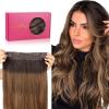 #2/6/18 Dark Brown to Chestnut Brown and Dirty Blonde Highlighted