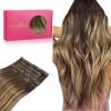 L-#4/27/4 Balayage Chocolate Brown to Caramel Blonde