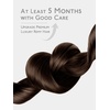 WENNALIFE Genius Weft Tape in Hair Extensions Human Hair 18 Inch 60g Natural Black Tape Ins Luxury Remy Hair Extensions Invisible Fuller Volume Reusable 10″ Wide Weft(#4 Chocolate Brown)